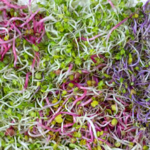 Microgreen Mix 4oz