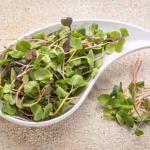 Microgreen Kale 4oz
